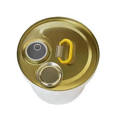 19L 5 gallon thép thắt đầu thùng với nắp vòi linh hoạt cho thinner
